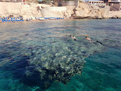 Zdjęcie Shark Bay beach i osada