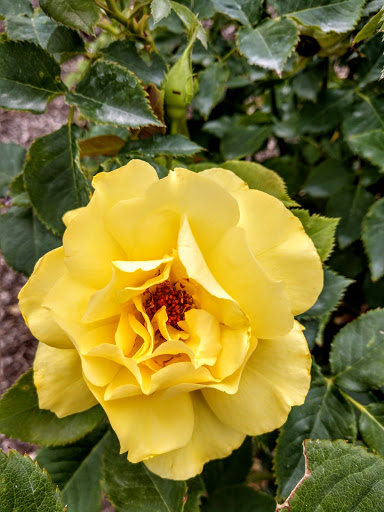 Park «Draper Historical Park», reviews and photos, 12625 900 E, Draper, UT 84020, USA