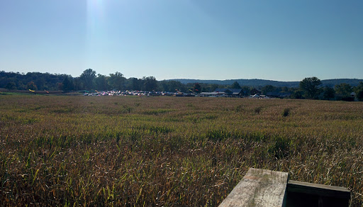 Festival «Temple Hall Fall Festival & Corn Maize», reviews and photos, 15855 Limestone School Rd, Leesburg, VA 20176, USA