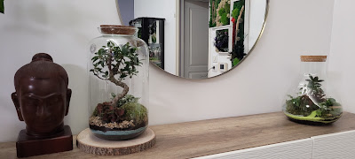Serena Coiffure à Domicile et Création à Chartres