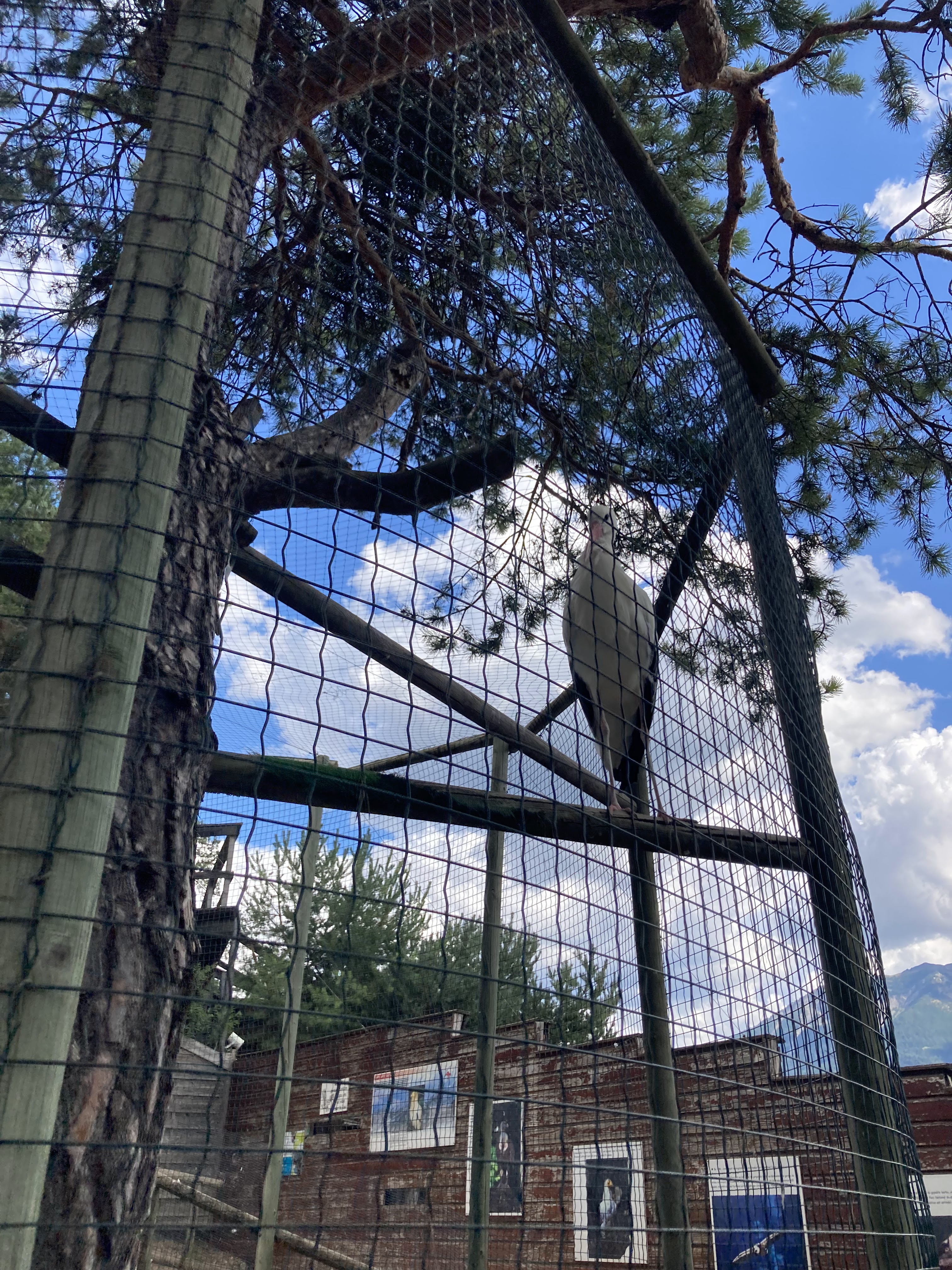 Photo n° 20 de l'avis de Laurianne.o fait le 26/08/2022 à 16:16