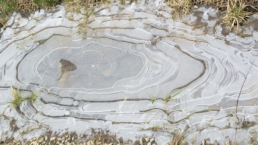 Park «Powell Butte Nature Park», reviews and photos, 16160 SE Powell Blvd, Portland, OR 97236, USA