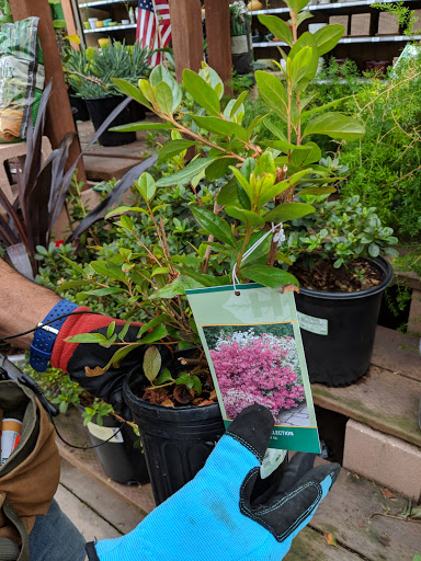 Hardware Store «Orchard Supply Hardware», reviews and photos, 900 El Camino Real, Millbrae, CA 94030, USA