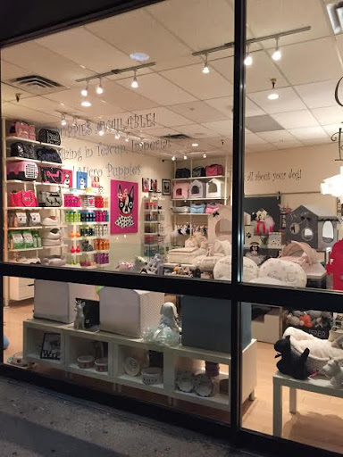 Pet Supply Store «Woof Woof Puppies & Boutique», reviews and photos, 29555 Northwestern Hwy, Southfield, MI 48034, USA