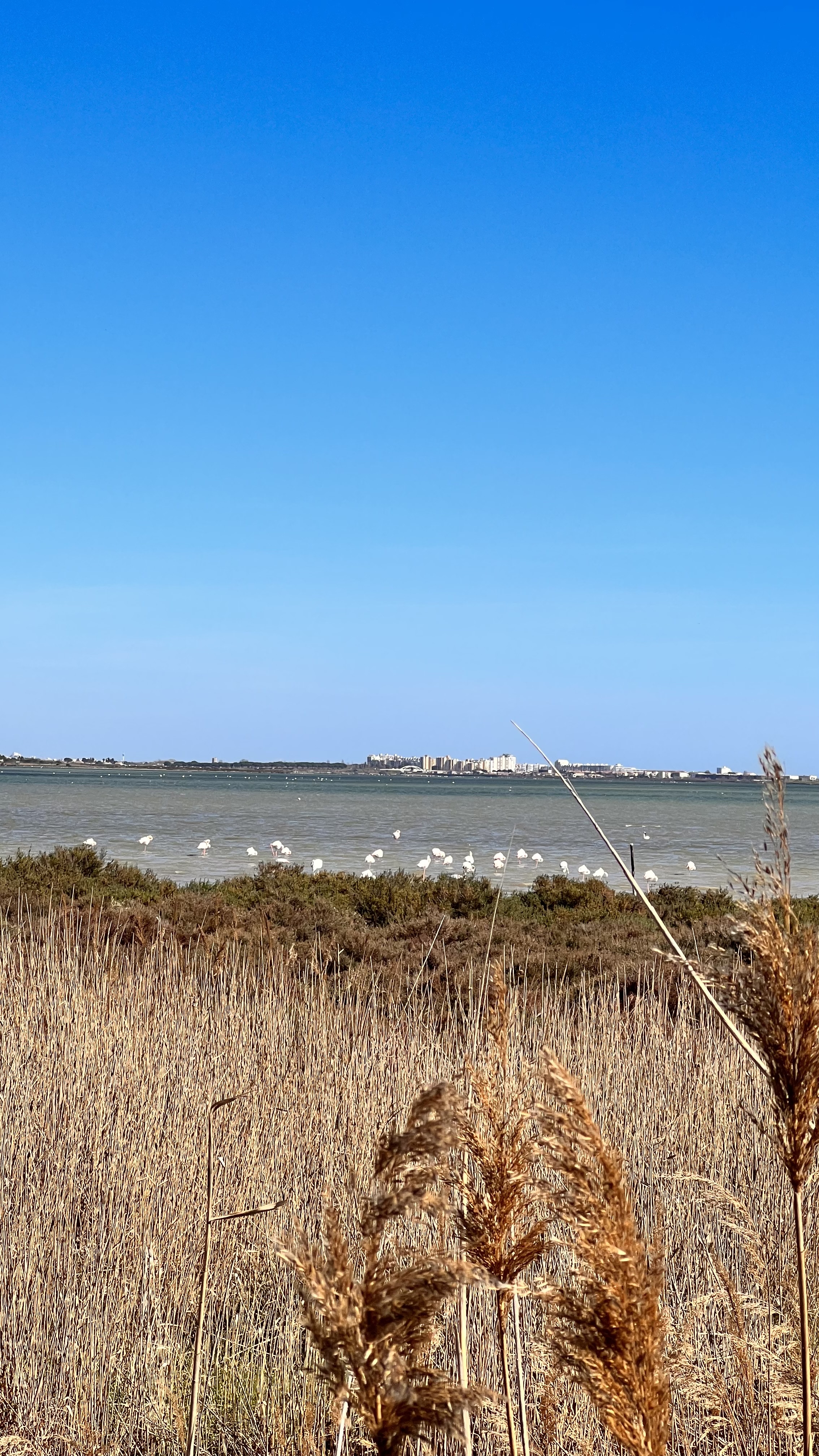 Photo n° 3 de l'avis de saloua.A fait le 16/03/2023 à 14:24