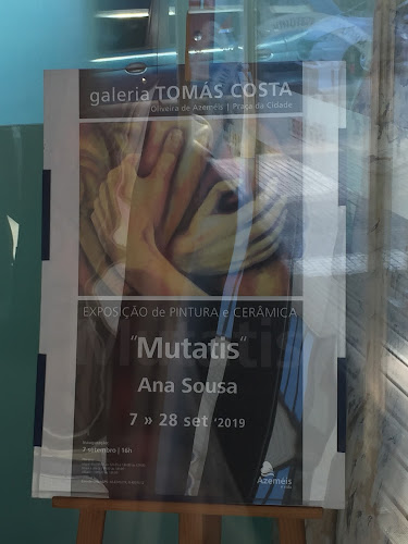 Galeria Tomás da Costa - Associação