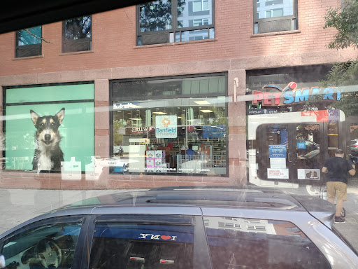 PetSmart, 238 Atlantic Ave, Brooklyn, NY 11201, USA, 