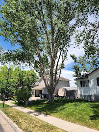 Pete's Tree Services - Photo 1 - Car repair in Logan, UT, Logan