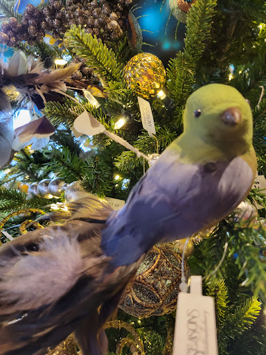 Florist «Seasons of Williamsburg», reviews and photos, 1308 Jamestown Rd, Williamsburg, VA 23185, USA