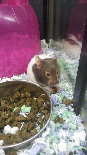 Pet Supply Store «PetSmart», reviews and photos, 8660 Airline Hwy, Baton Rouge, LA 70815, USA