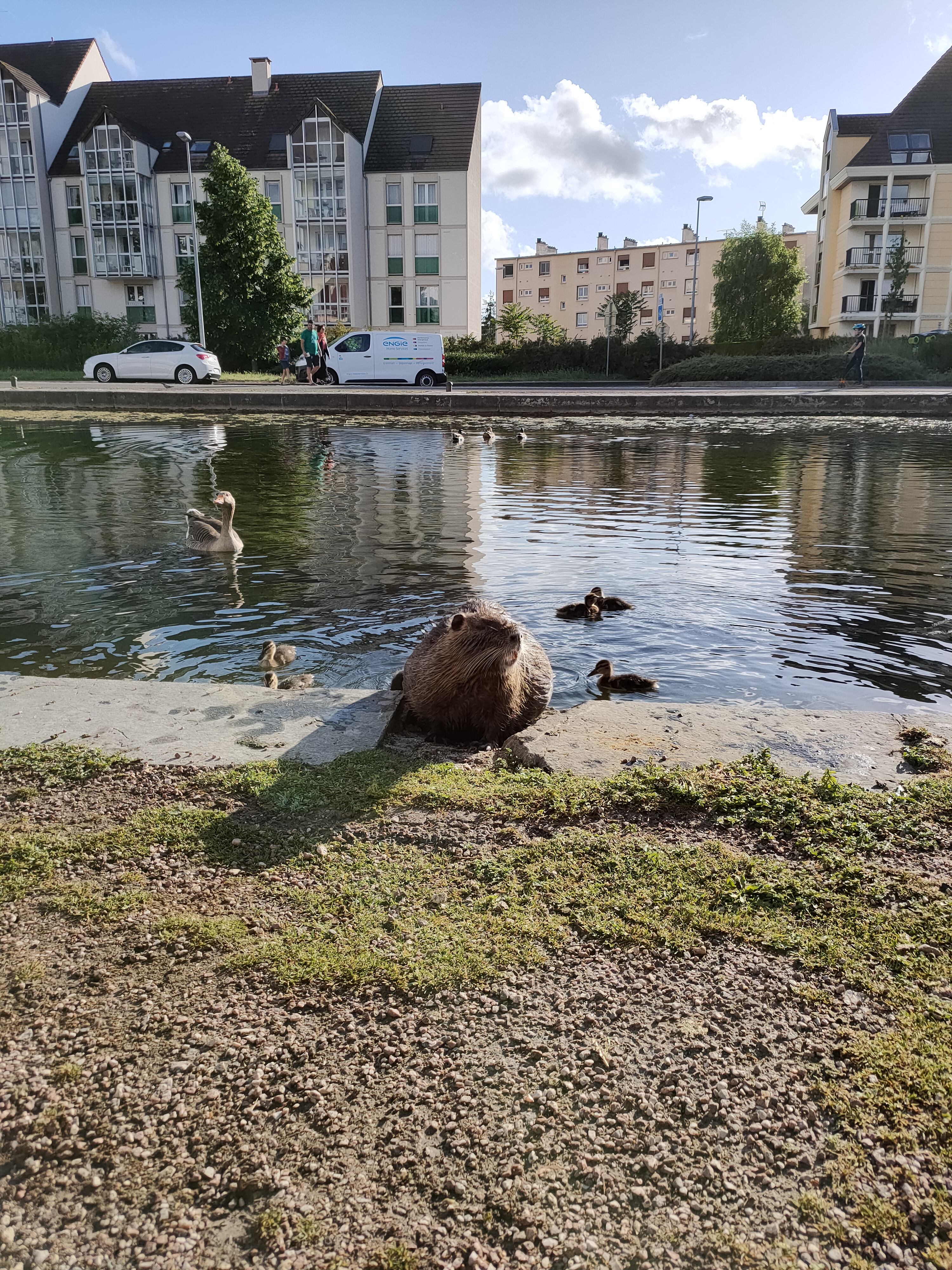 Photo n° 4 de l'avis de Justine. fait le 15/05/2021 à 20:07