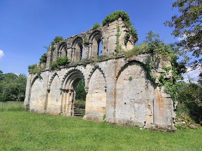 Ruine de l'abbaye de Haute Seille