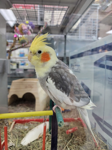 Pet Supply Store «Incredible Pets», reviews and photos, 4005 Manzanita Ave # 41, Carmichael, CA 95608, USA