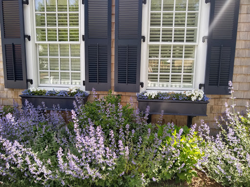 Market «Rosewater Market», reviews and photos, 20 S Summer St, Edgartown, MA 02539, USA