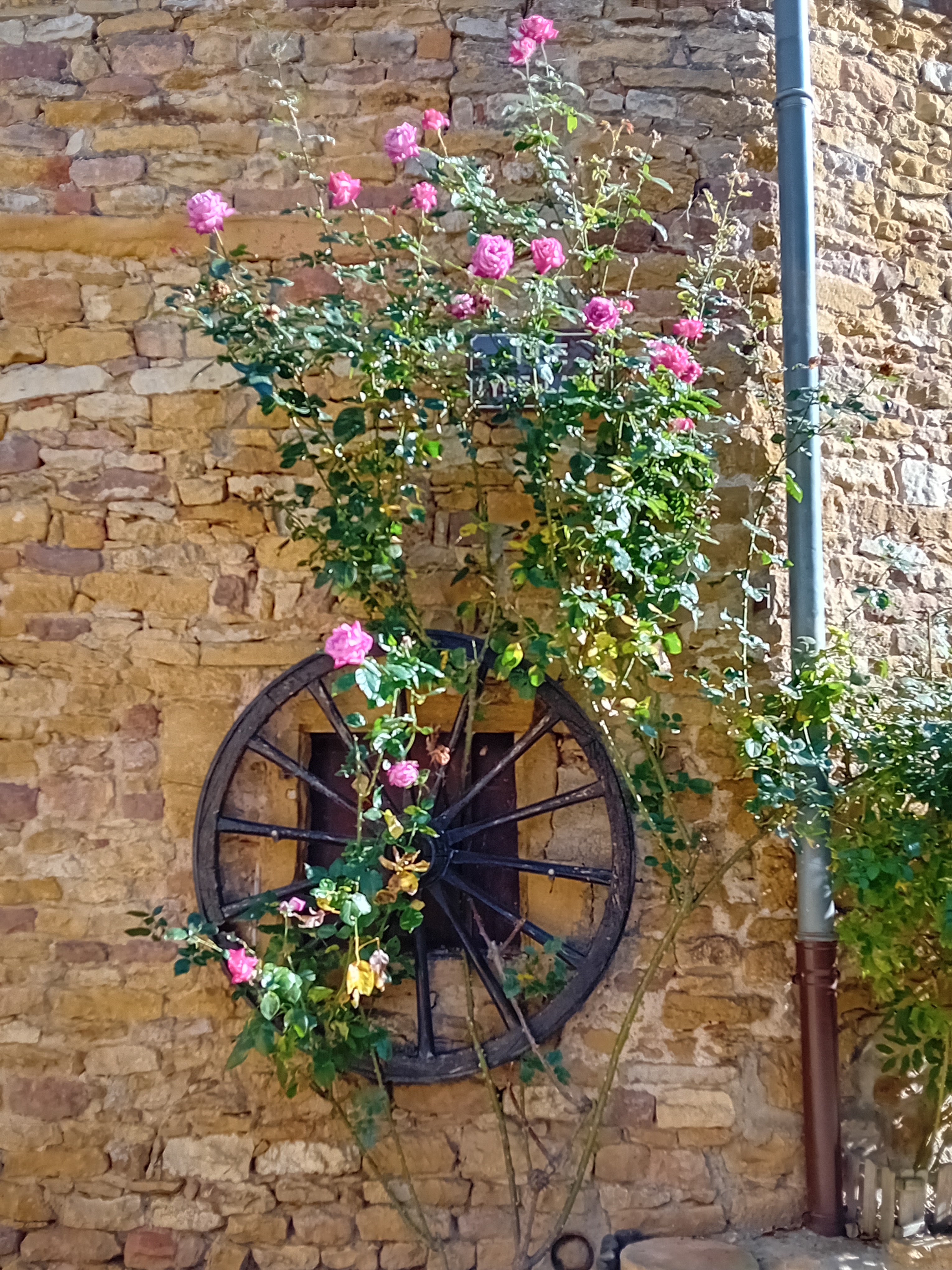 Photo n° 22 de l'avis de martine.e fait le 17/10/2023 à 17:52