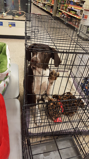 Pet Supply Store «PetSmart», reviews and photos, 5748 S Redwood Rd, Taylorsville, UT 84123, USA