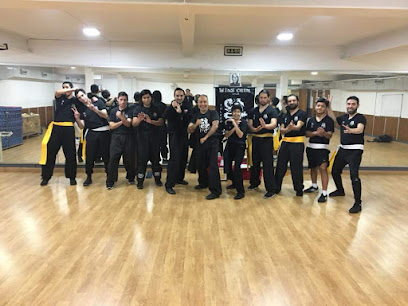 Wing Chun Chile Kwoon Ejercito