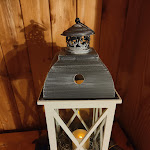 Photo n°11 de l'avis de Gianluca.a fait le 31/01/2023 à 15:03 sur le  Villa Soreghina à San Vigilio di Marebbe