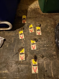 Omega Pest Control LLC - Photo 5 - Car repair in Odenton, MD, Columbia