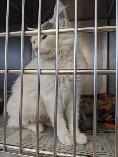 Pet Store «Petsense Milledgeville», reviews and photos, 2470 N Columbia St #35b, Milledgeville, GA 31061, USA