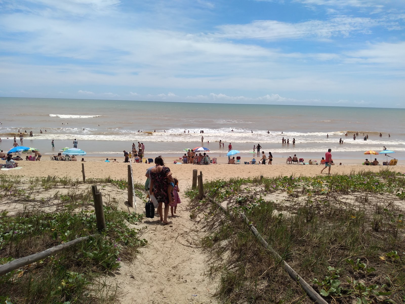 Bosque da Praia photo #8