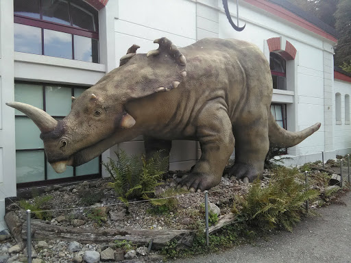 Aathal Dinosaur Museum