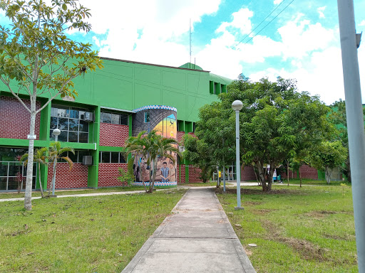 Biblioteca universitaria Pucallpa