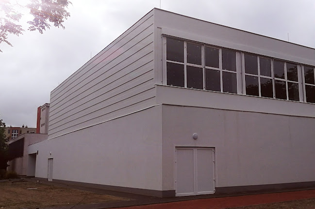 Darázsfészek Kosárlabda Csarnok - Sportpálya