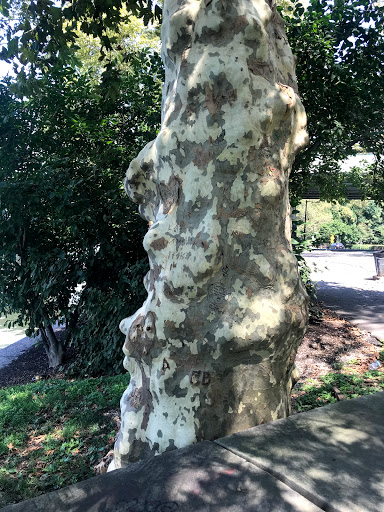 Park «Fairmount Park East», reviews and photos, Sedgley Dr, Philadelphia, PA 19136, USA