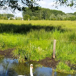 Photo n° 2 de l'avis de NANA.E fait le 22/05/2022 à 17:51 pour La Palmeraie - Aire de camping-cars à Heurteauville