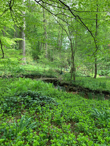 Nature Preserve «Tregaron Conservancy», reviews and photos, 3100 Macomb St NW, Washington, DC 20008, USA