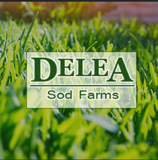 DeLea Sod Farms
