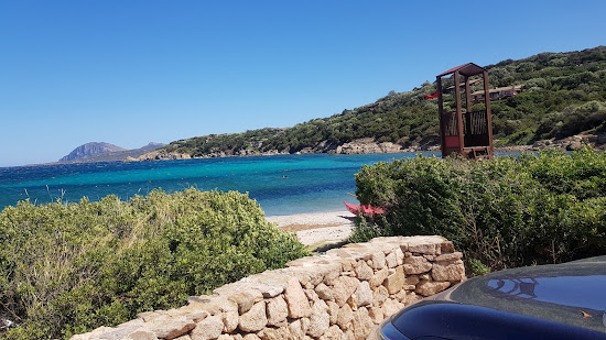 Spiaggia Alghe