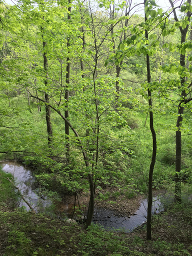 Nature Preserve «Raceway Woods Forest Preserve», reviews and photos, State Rte 31, Carpentersville, IL 60110, USA