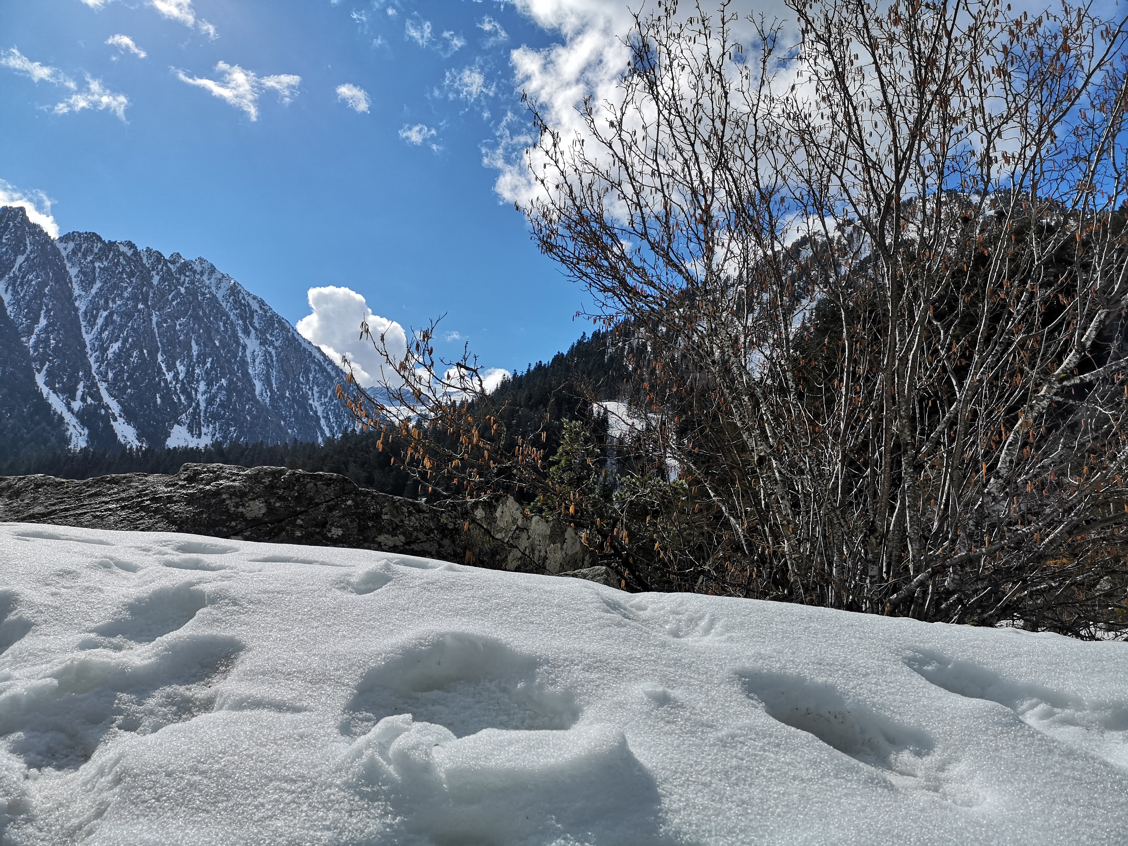 Photo n° 6 de l'avis de Cathy.u fait le 23/03/2019 à 14:16