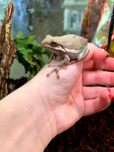 Pet Groomer «Animal Kingdom Grooming», reviews and photos, 339 S Santa Fe Ave, Pueblo, CO 81003, USA