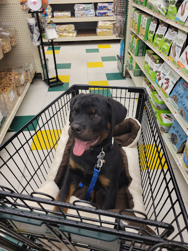 Pet Supply Store «Pet Supplies Plus», reviews and photos, 227 W Merrick Rd, Valley Stream, NY 11580, USA