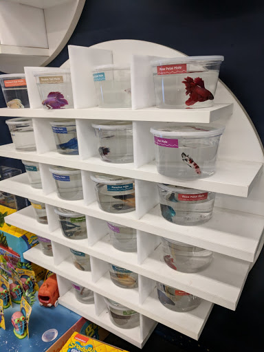 Pet Supply Store «Petco Animal Supplies», reviews and photos, 6557 N Riverside Dr, Fresno, CA 93722, USA