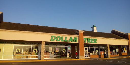 Dollar Store «Dollar Tree», reviews and photos, 10581 Springfield Pike, Woodlawn, OH 45215, USA
