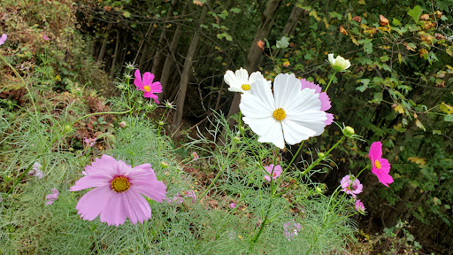 Golf Club «Compass Pointe Golf Courses», reviews and photos, 9010 Fort Smallwood Rd, Pasadena, MD 21122, USA