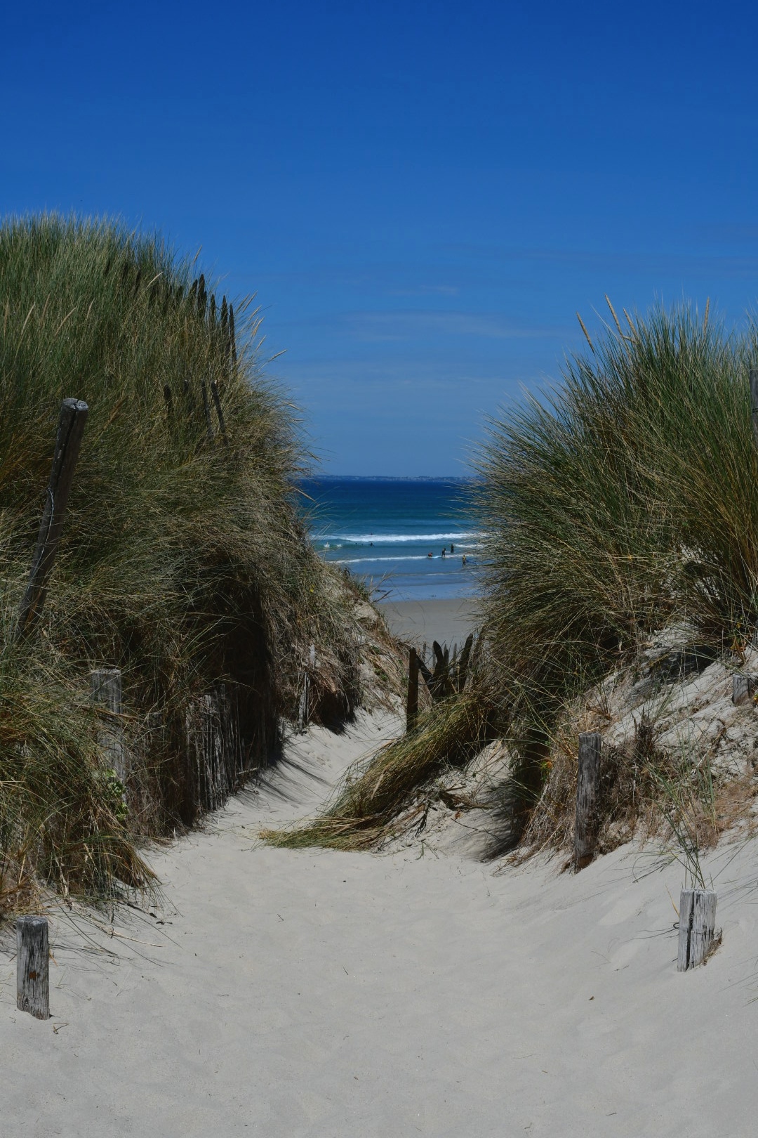 Photo n° 27 de l'avis de Phidis.a fait le 13/07/2022 à 23:31