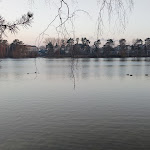 Photo n°2 de l'avis de Eva.p fait le 05/03/2022 à 15:20 sur le  Best Western Premier Seehotel Krautkraemer à Münster