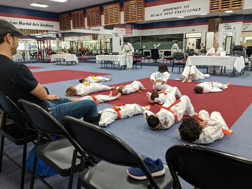 American Martial Arts Academy image
