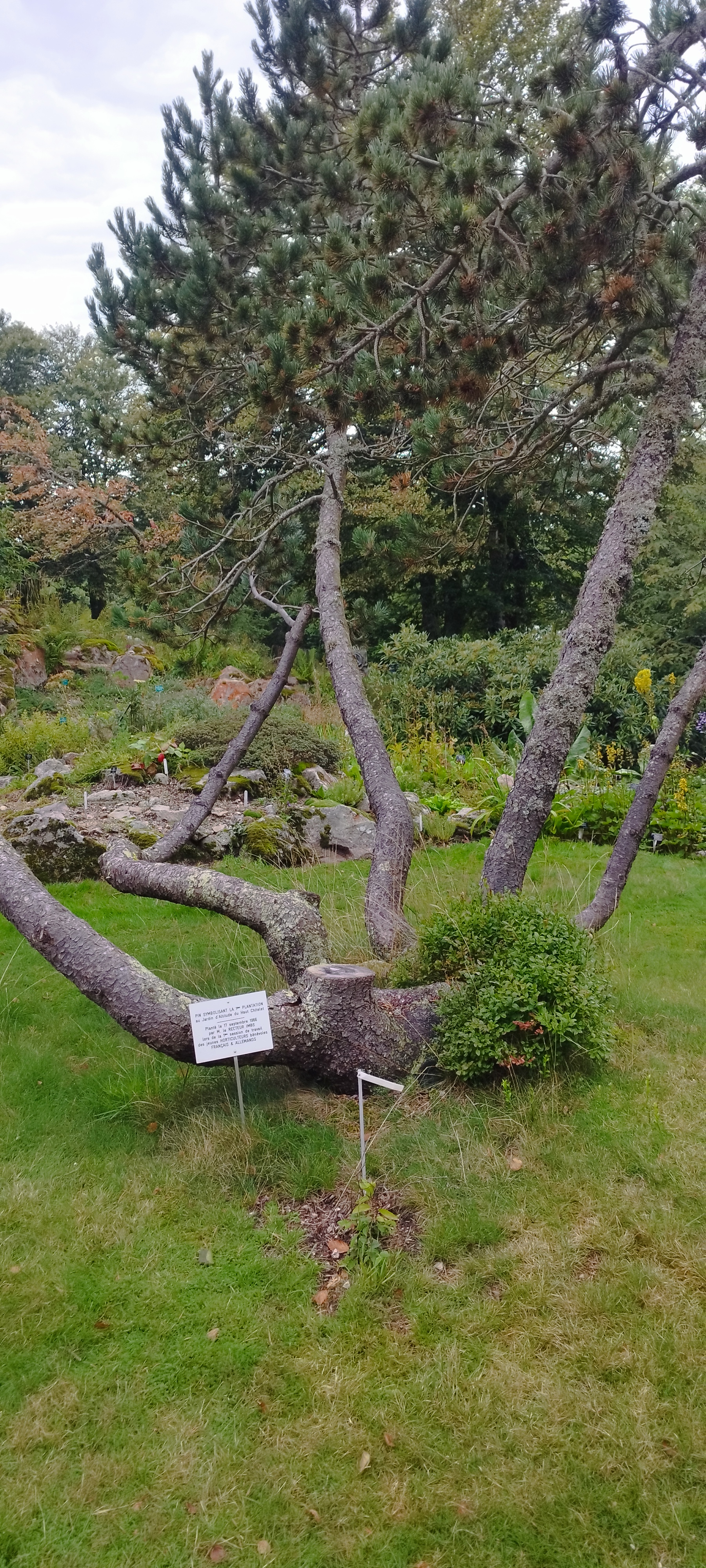 Photo n° 2 de l'avis de Auxtoky. fait le 02/09/2023 à 06:03