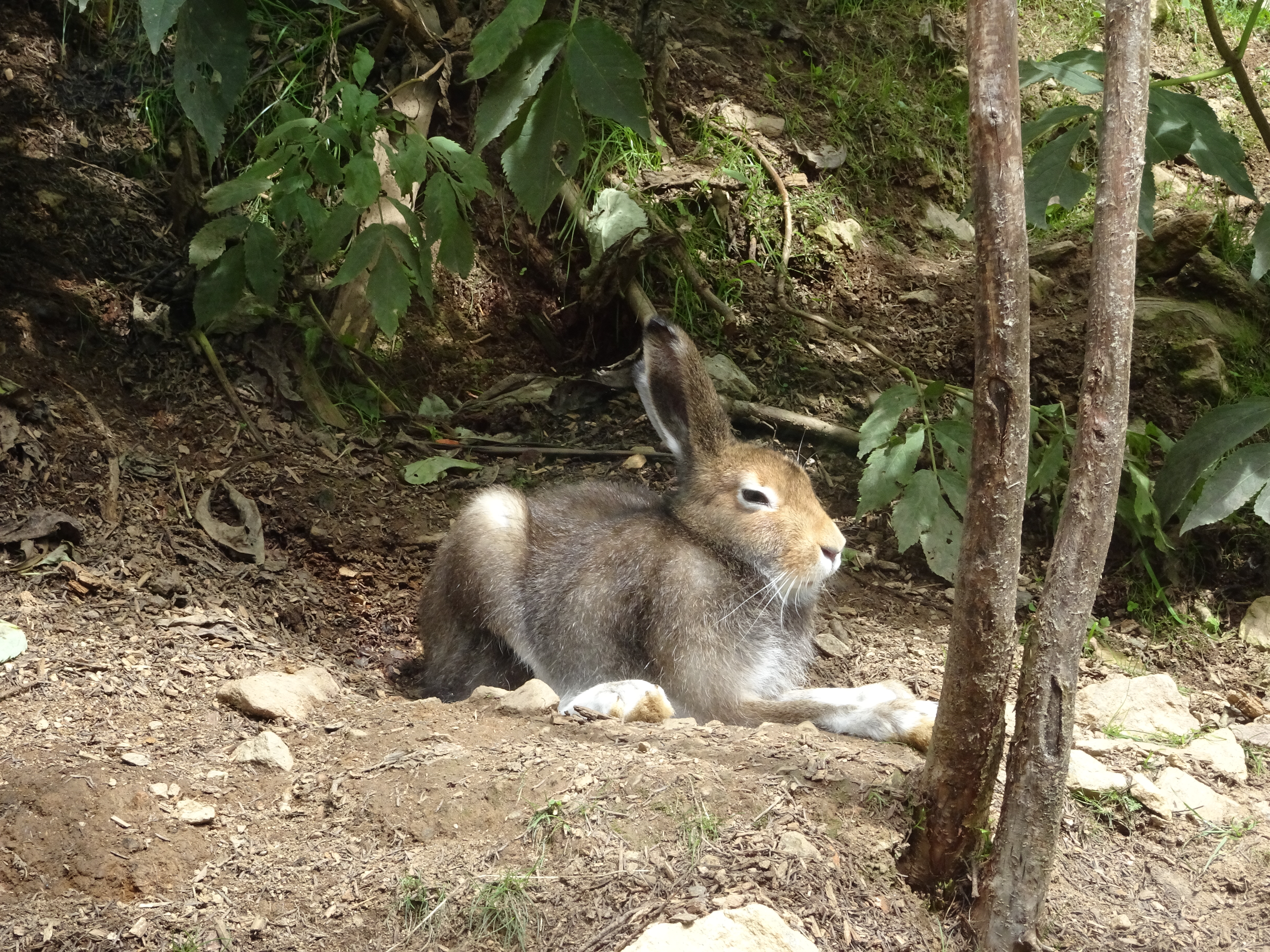 Photo n° 5 de l'avis de Romain.o fait le 10/09/2018 à 13:52