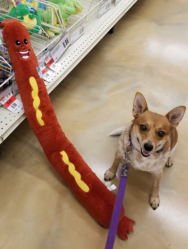 Pet Supply Store «Pet Supplies Plus», reviews and photos, 3060 N Lewis Ave, Waukegan, IL 60087, USA