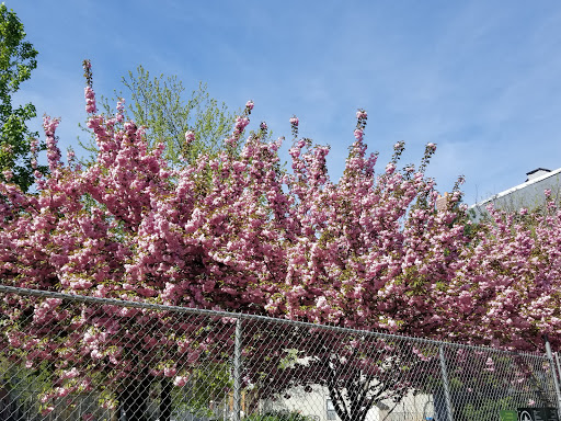 Art Supply Store «Artist & Craftsman Supply Bushwick», reviews and photos, 1449 Broadway, Brooklyn, NY 11221, USA