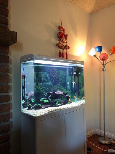 Pet Supply Store «PetSmart», reviews and photos, 3530 Rosemead Blvd, Rosemead, CA 91770, USA