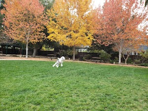 Mercy-Bush Park - photo 92