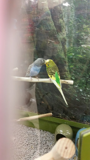 Pet Supply Store «PetSmart», reviews and photos, 2828 Campus Pkwy, Riverside, CA 92507, USA